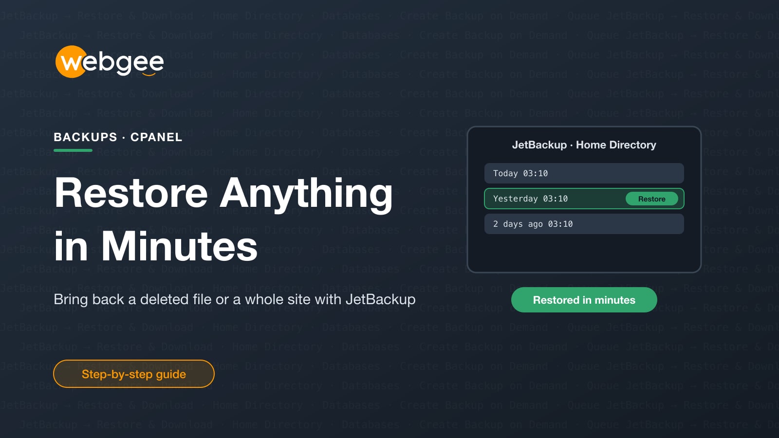 Restore a Deleted File or a Whole Website in Minutes with JetBackup