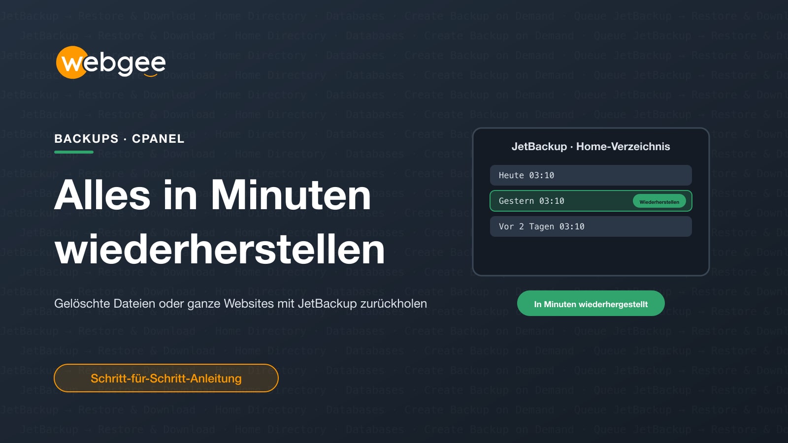 Gelöschte Datei oder ganze Website in wenigen Minuten mit JetBackup wiederherstellen